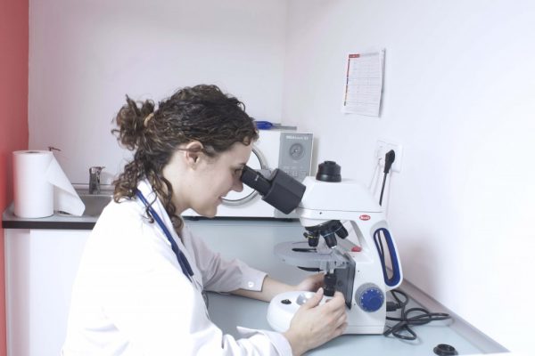 EMMA LABORATORIO